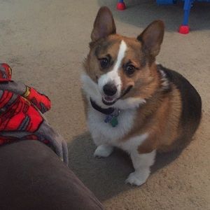 Meet your Posher, Kyle